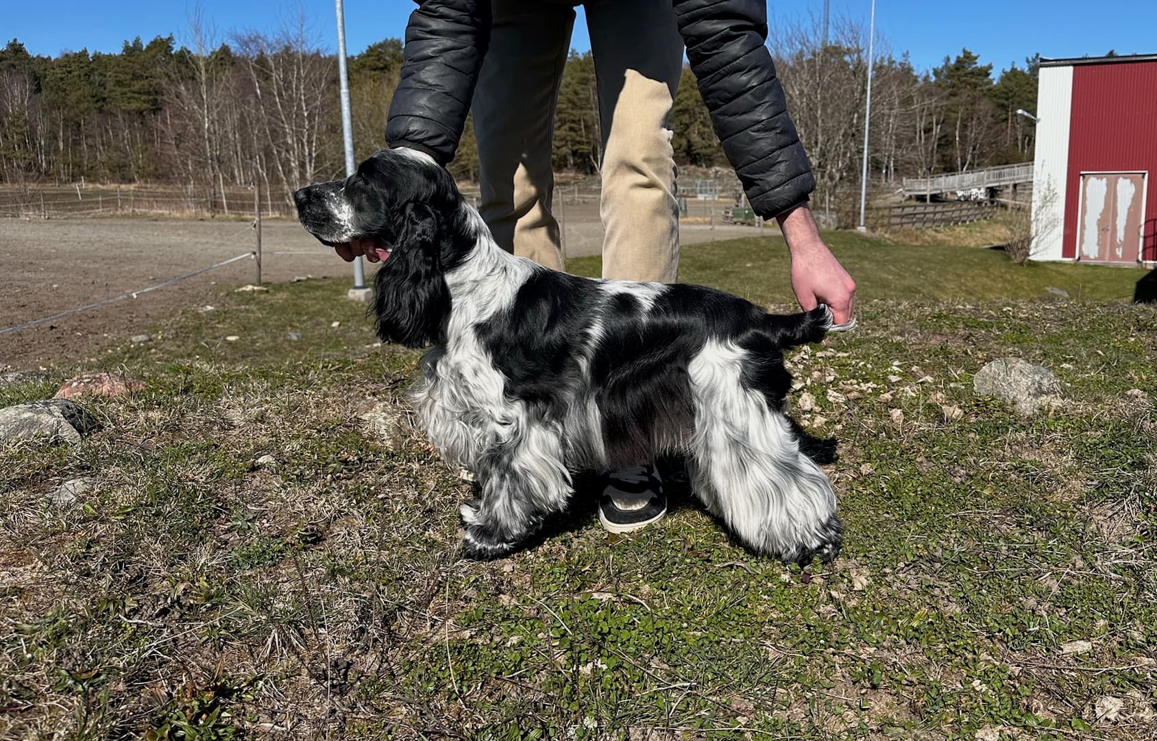 Bullworks Starstruck - Flora