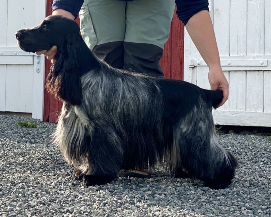 Haradwater Life Of Brian