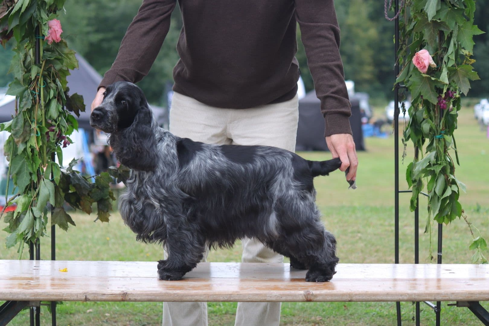 Art-Wave's Moonstruck