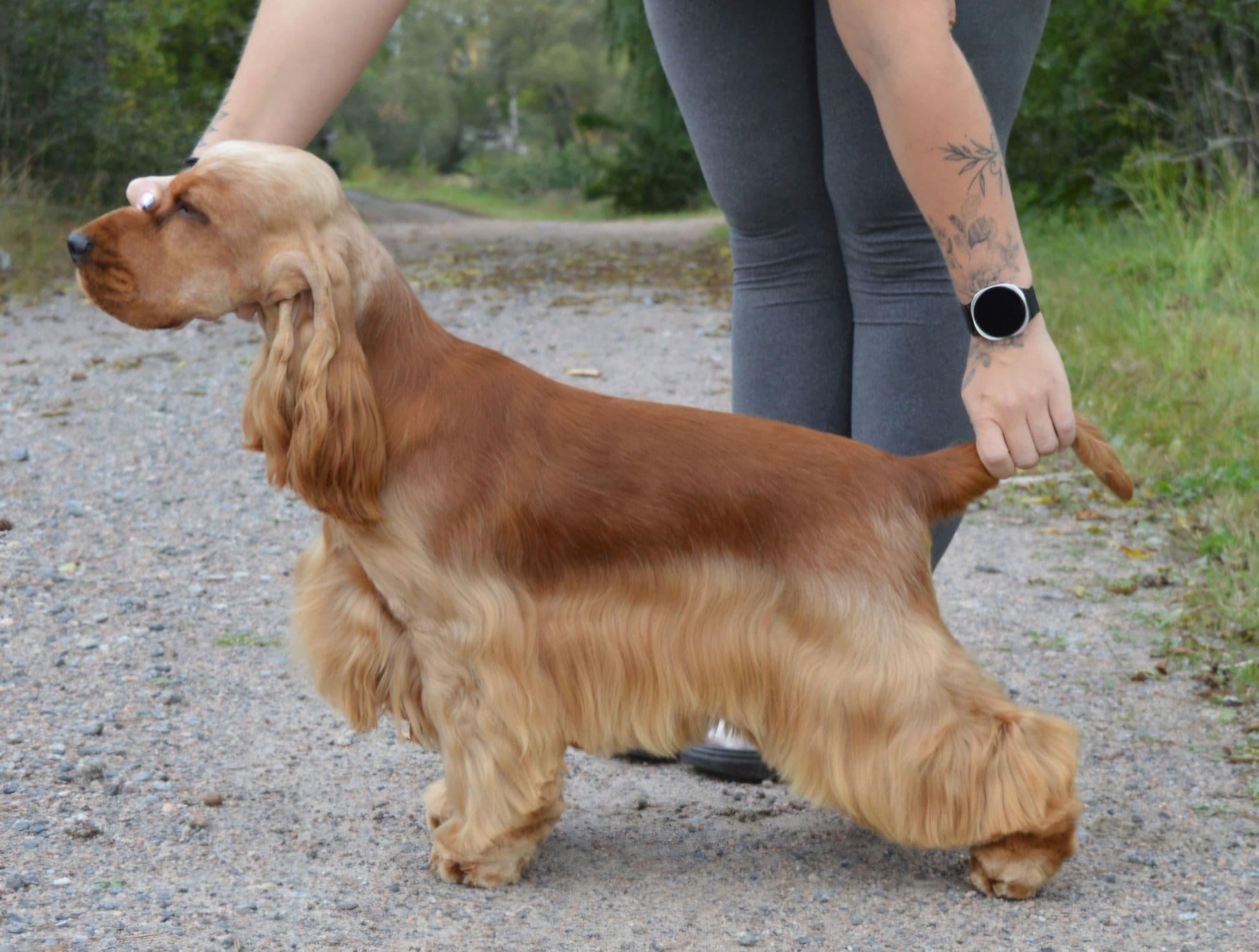 Mamonova's Quo Vadis